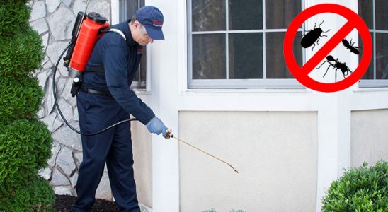 Urla Kemirgen İlaçlama böcek ilaçlama ve haşere kontrolü — ilaclama-tr.com
